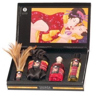 Zestaw dla par - Shunga Tenderness & Passion Collection